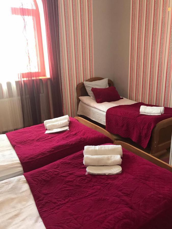 Max Hotel Gogi Alibegashvili カズベギ エクステリア 写真