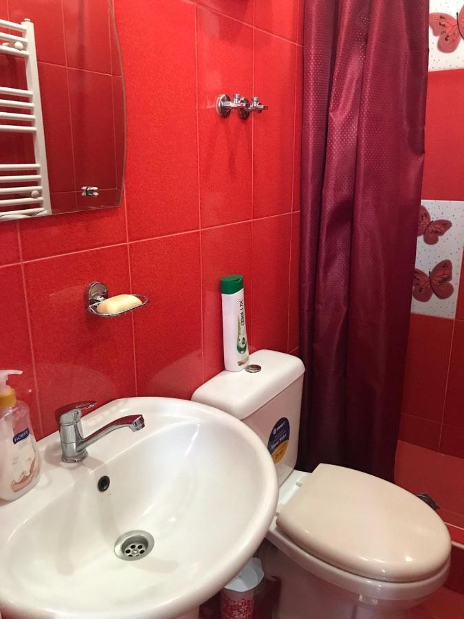 Max Hotel Gogi Alibegashvili カズベギ エクステリア 写真
