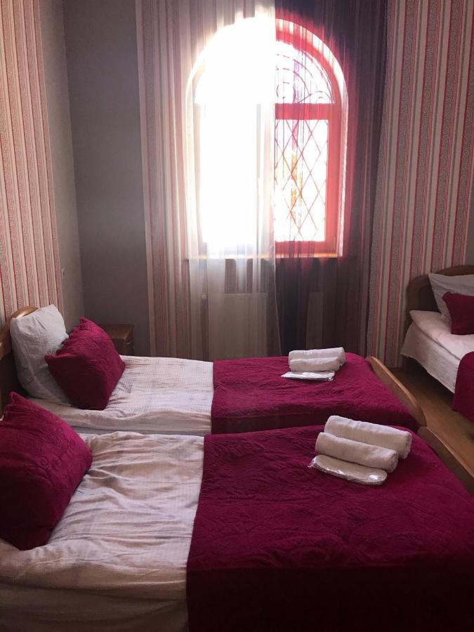 Max Hotel Gogi Alibegashvili カズベギ エクステリア 写真